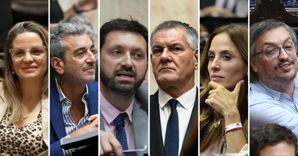 C Mo Votaron Los Diputados Platenses El Veto De Javier Milei Al