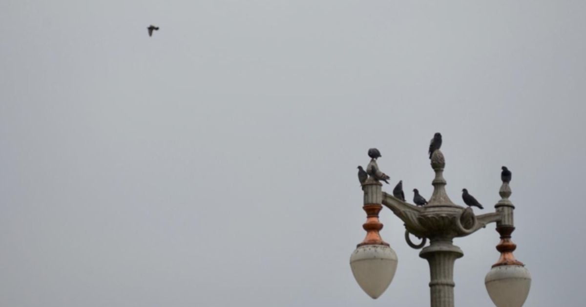 Domingo Inestable Y Con Lluvias As Seguir El Clima En La Plata