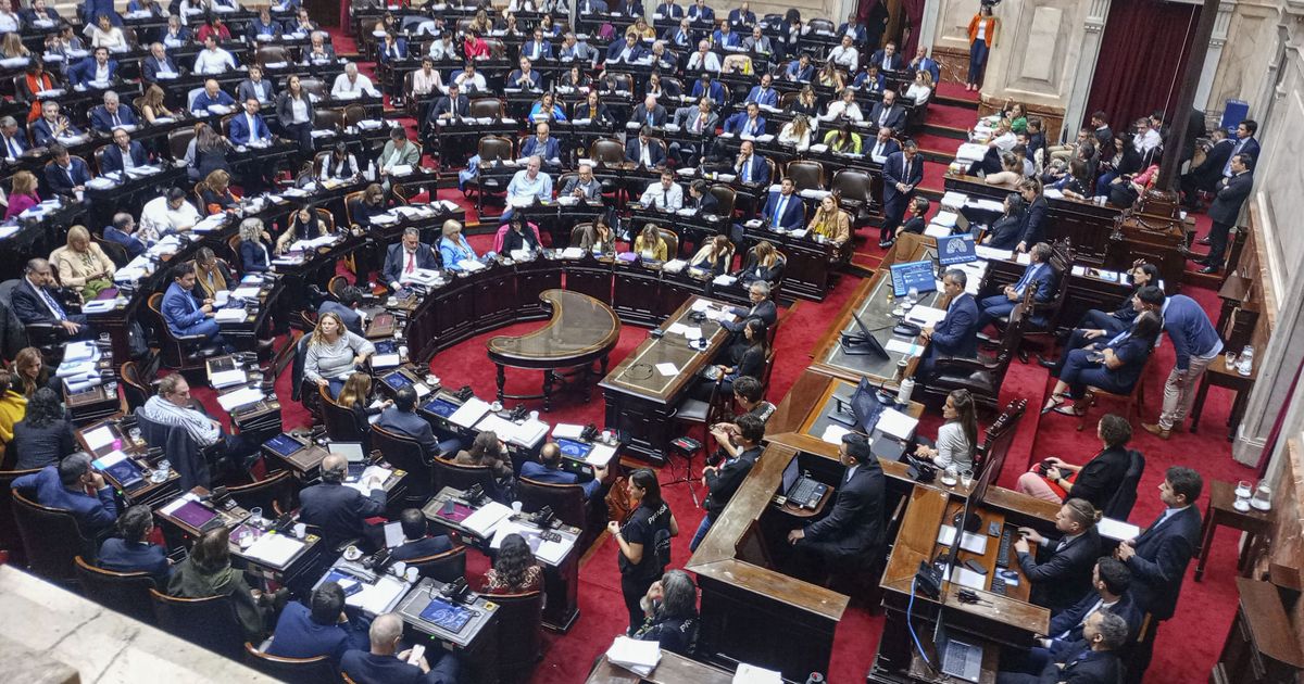 Diputados Sesiona Y El Oficialismo Busca Sancionar La Ley Bases Y El