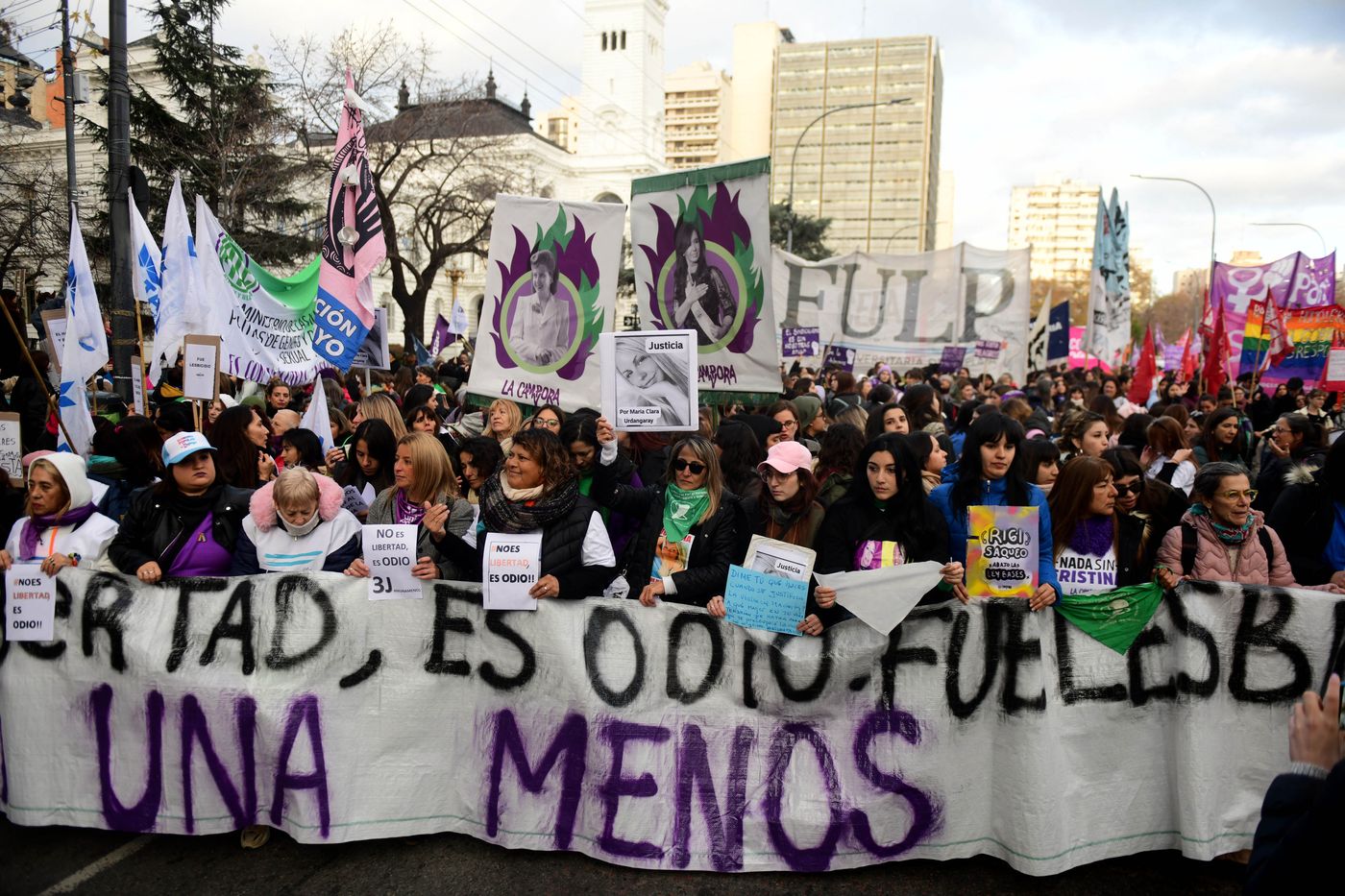 Gran Movilizaci N En La Plata A A Os Del Primer Ni Una Menos