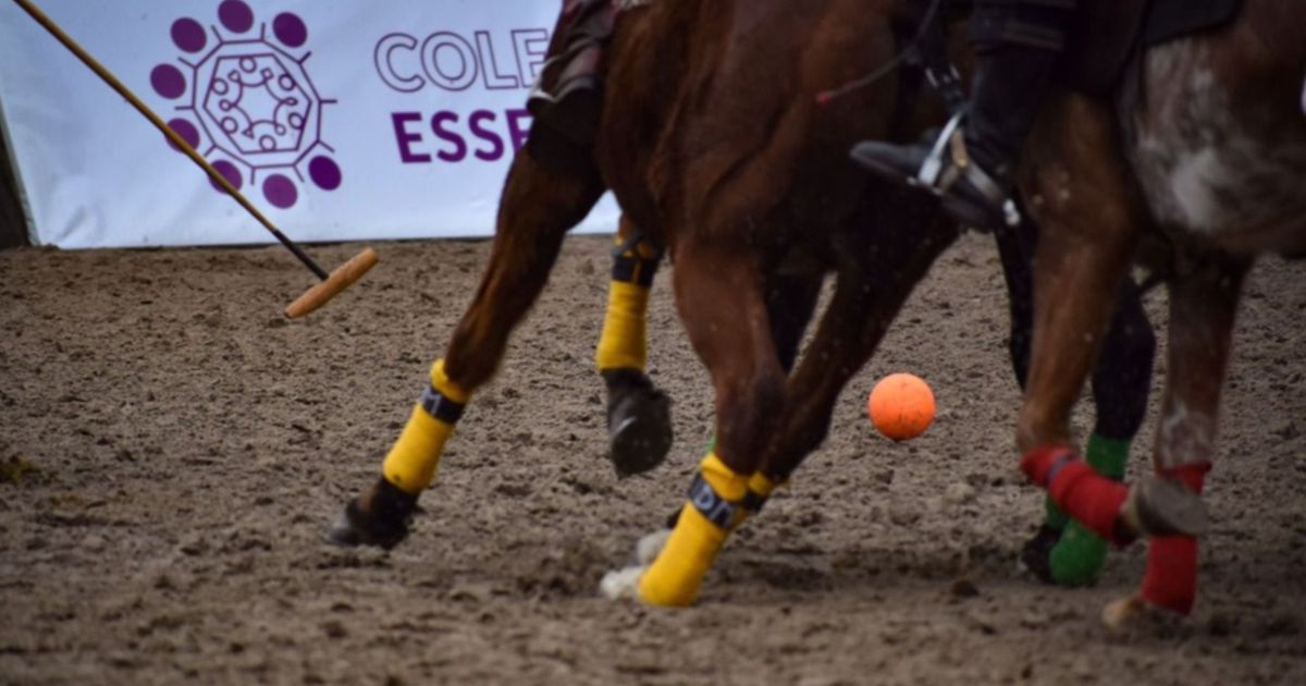 Cu Ntos Equipos Participar N Del Polo Tour Arena Experience En La Plata