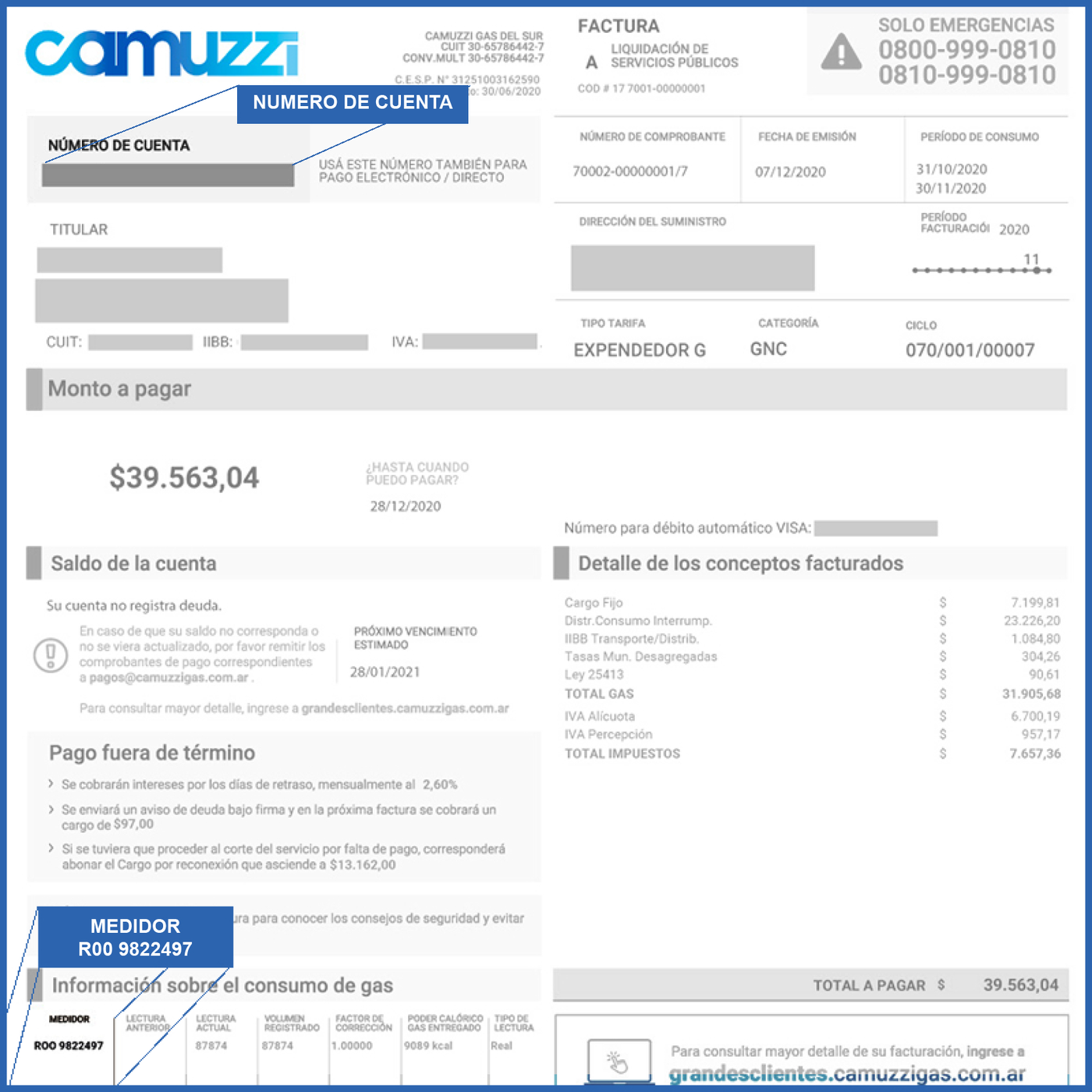 Cómo tramitar los subsidios para la luz y el gas en La Plata