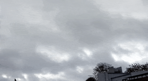 1588089286401.gif?rotate=0&scaleX=1&scaleY=1&oh=330&x=0&y=29&width=600&height=300&ow=600&&cw=1920&ch=950