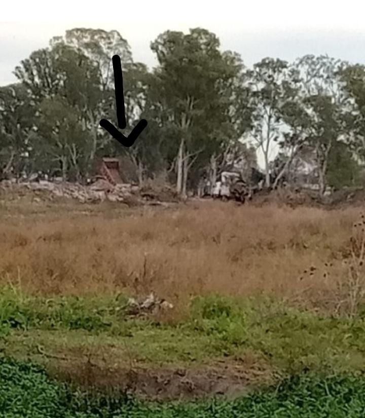Vecinos denuncian que la Municipalidad de Berisso entierra basura en un ...