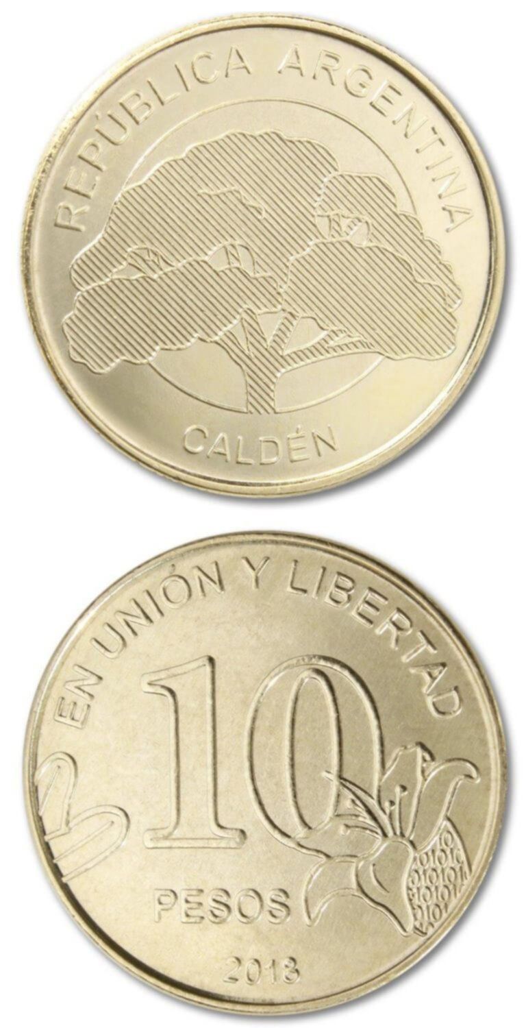 Las nuevas monedas de $10 pesos llegaron a La Plata: ¿cómo saber si no son falsas? las-nuevas-monedas-de-10-pesos-llegaron-a-la-plata-c-mo-saber-si-no-son-falsas