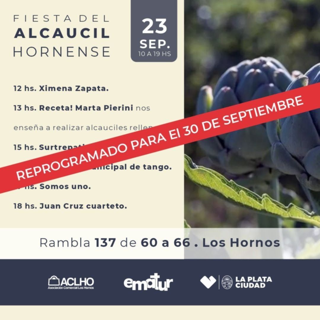 Suspenden La Fiesta Del Alcaucil Hornense Por El Mal Clima En La Plata