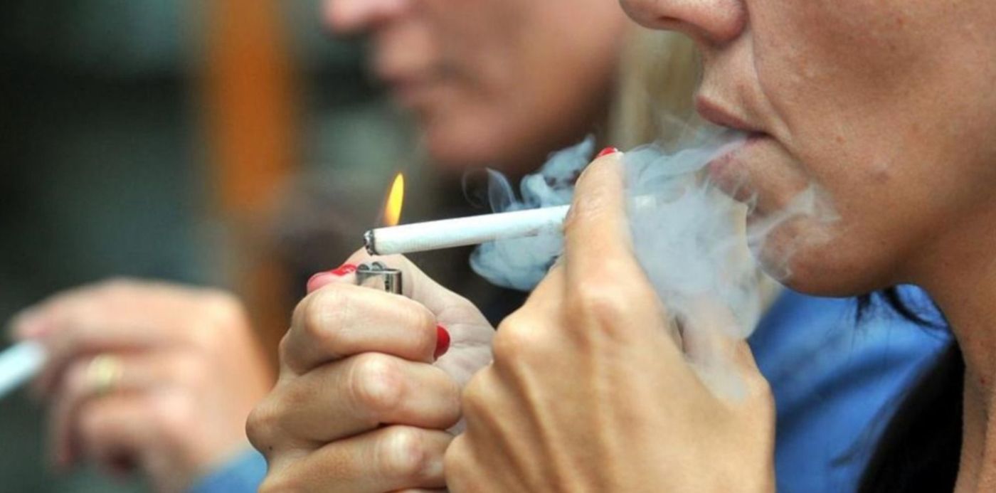 1548110427145.jpg?height=740&rotate=0&scaleX=1&scaleY=1&ow=1500&oh=823&x=10&y=8&width=1480&&cw=1920&ch=950