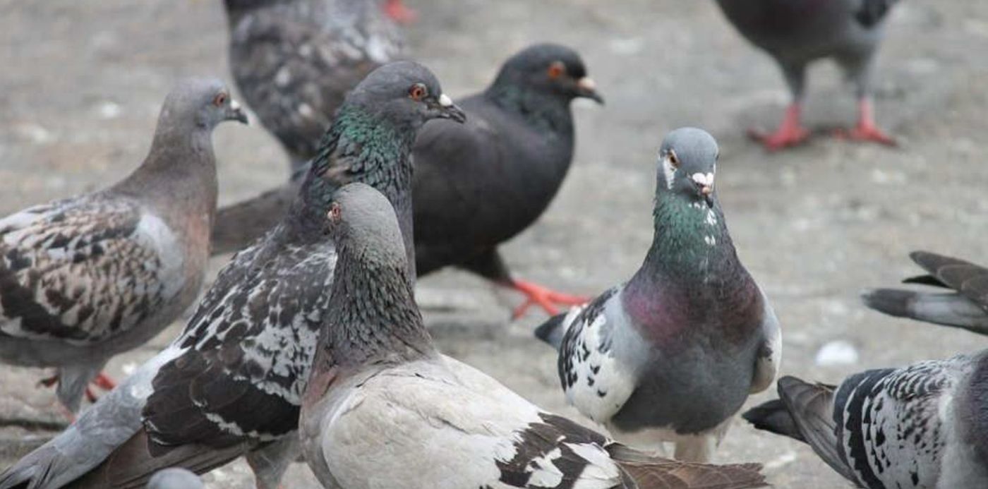 1569326188242.jpg?x=4&y=60&height=446&ow=900&oh=506&width=892&rotate=0&scaleX=1&scaleY=1&&cw=1920&ch=950