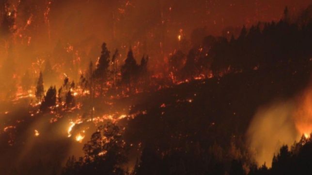 confirman la segunda muerte tras los incendios en la patagonia
