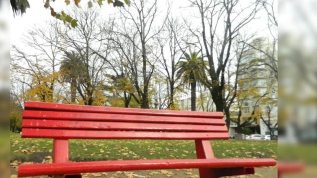 para visibilizar los femicidios en la plata pondran un banco rojo en el colegio de abogados
