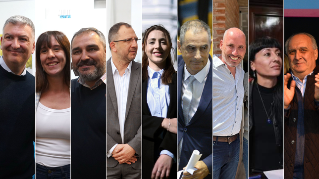 uno por uno, los diputados y senadores platenses que mas proyectos de ley presentaron en 2025