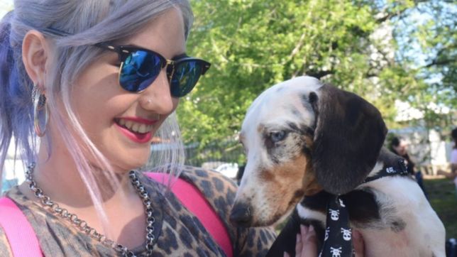 la vacunacion y desparasitacion gratuita de mascotas llega a altos de san lorenzo