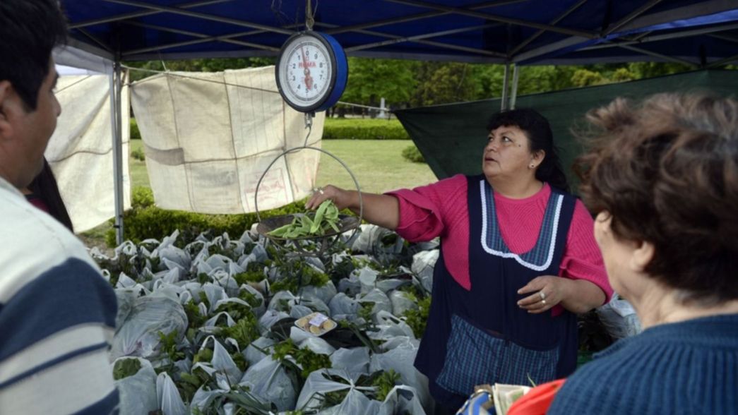 Productores rurales harán un verdurazo con precios al costo en 7 y 50