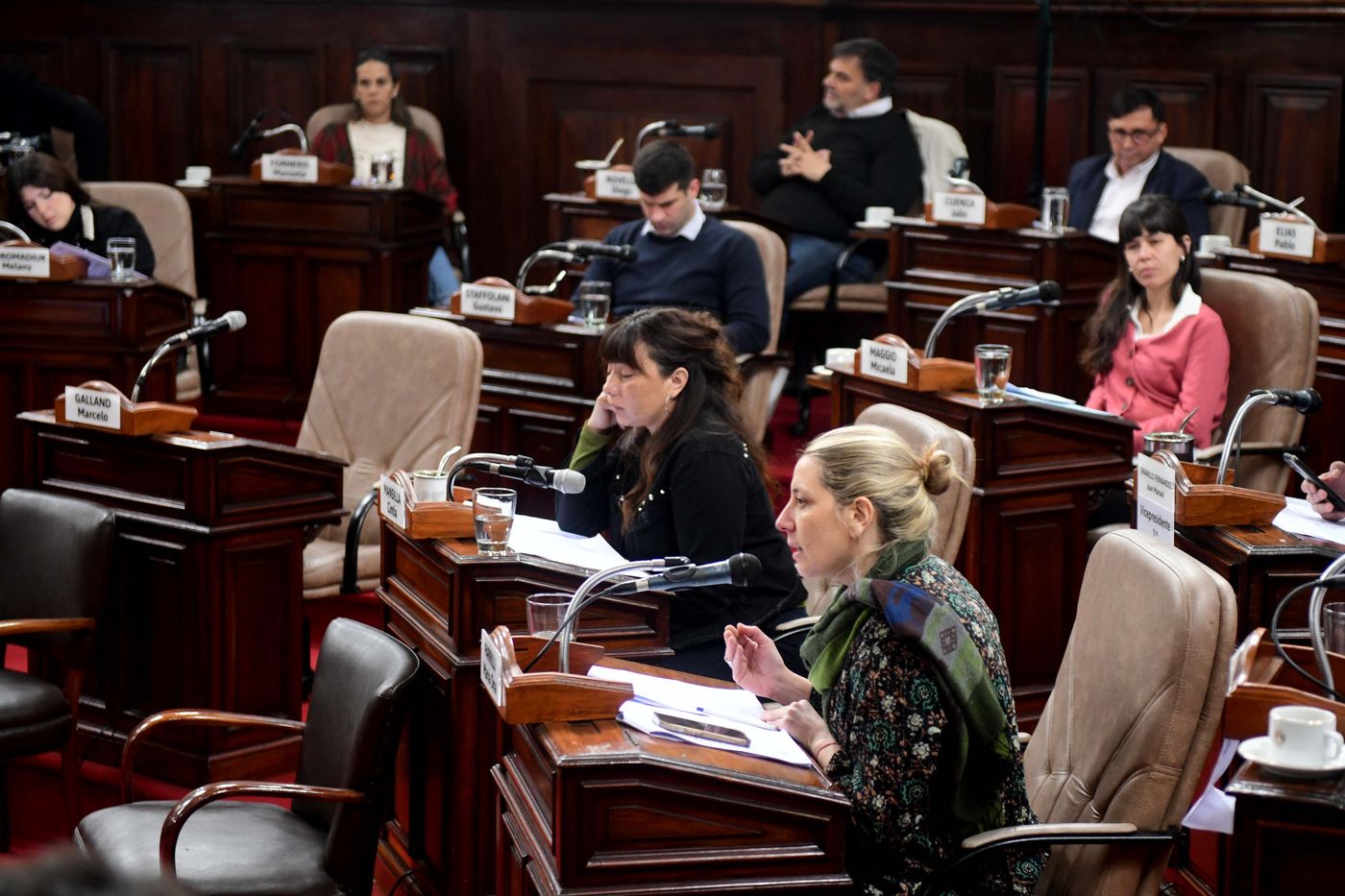 Concejo Deliberante (4).jpg