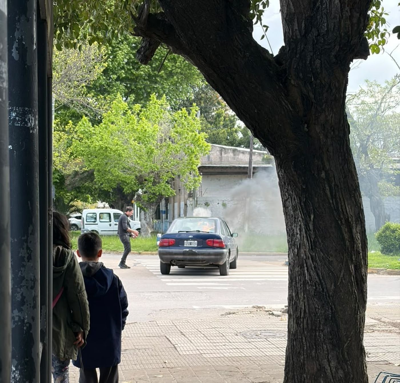 Vecinos de La Plata intentaron apagar el incendio pero no lograron combatir el fuego