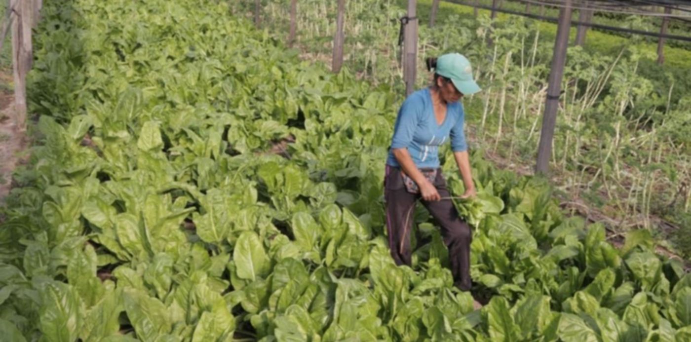 1656008222535.jpeg?x=9&y=107&width=1010&height=505&rotate=0&scaleX=1&scaleY=1&ow=1024&oh=682&&cw=1920&ch=950