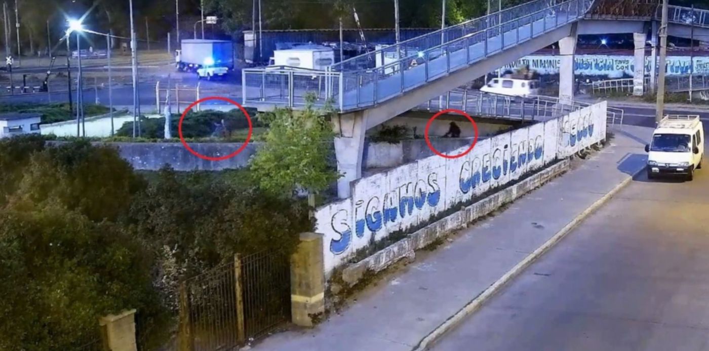 1665498235423.jpg?x=33&y=9&width=1406&height=702&rotate=0&scaleX=1&scaleY=1&ow=1500&oh=734&&cw=1920&ch=950