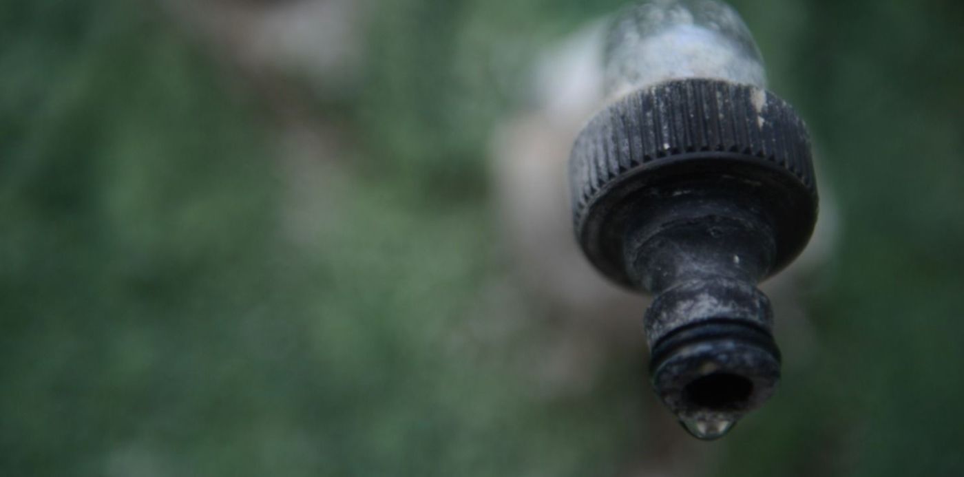 1580776083484.jpg?x=11&y=206&width=1472&height=736&rotate=0&scaleX=1&scaleY=1&ow=1500&oh=996&&cw=1920&ch=950