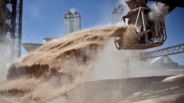 la guerra en ucrania impulsa fuertes subas en los precios de los granos