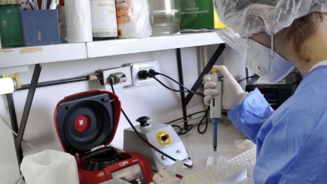 detectaron en argentina la variante britanica del coronavirus