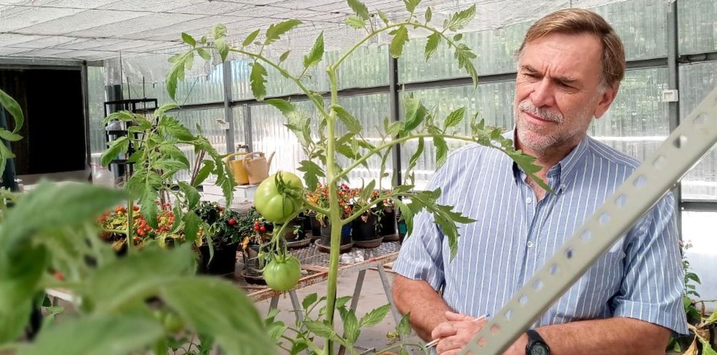 juan José Guiamet - Investigador Conicet UNLP