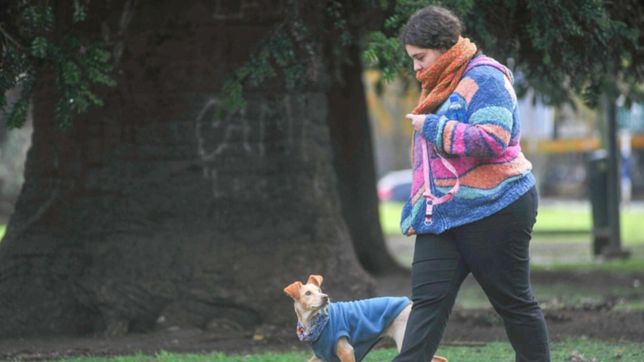 con heladas y temperaturas bajo cero, asi estara el clima en la plata durante la semana