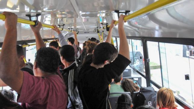 una mujer no quiso pagar el boleto y amenazo de muerte al chofer de un micro en la plata