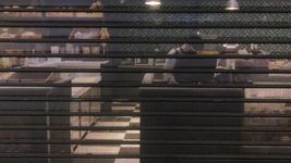 una banda de delincuentes ataco en manada una galeria del centro durante la madrugada una banda de delincuentes ataco en manada una galeria del centro durante la madrugada