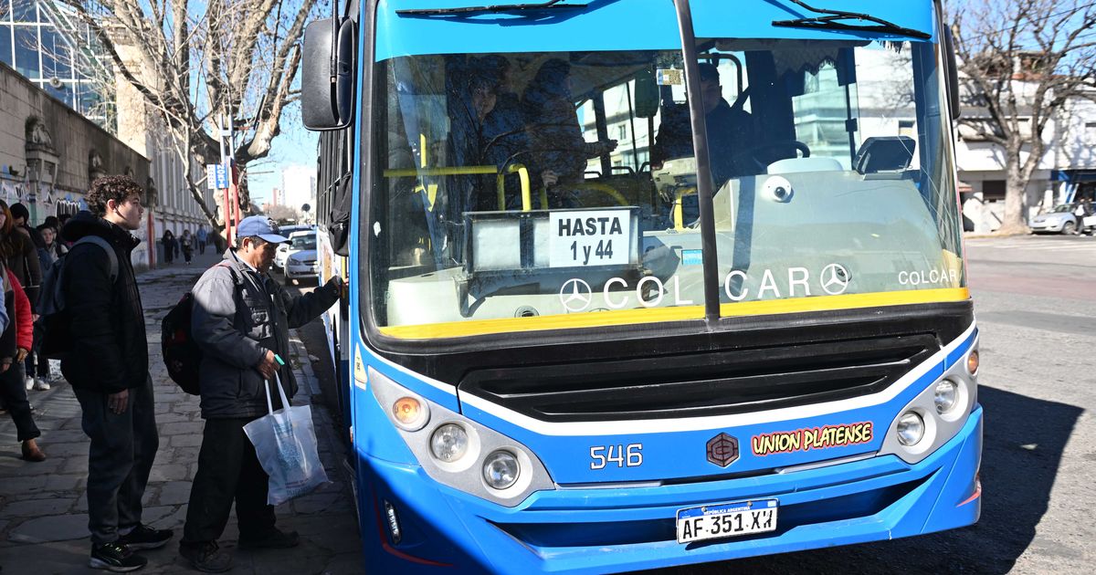 ¿A qué se debe el nuevo paro de micros y por qué no afecta a La Plata ...