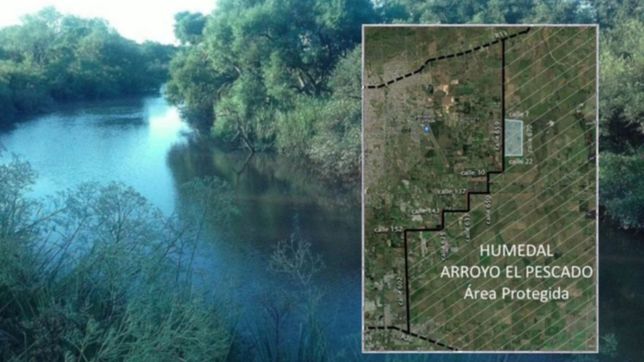 impulsan cambios al cout para evitar construcciones que afecten al arroyo el pescado