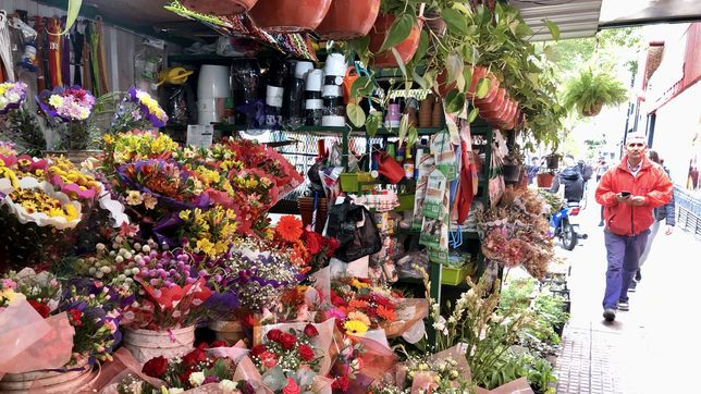 las nuevas condiciones que deberan cumplir los puestos de flores en la plata