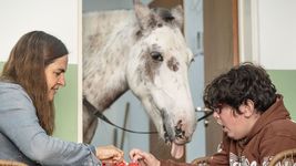 los beneficios del tratamiento asistido con caballos para pacientes con dificultades emocionales los beneficios del tratamiento asistido con caballos para pacientes con dificultades emocionales