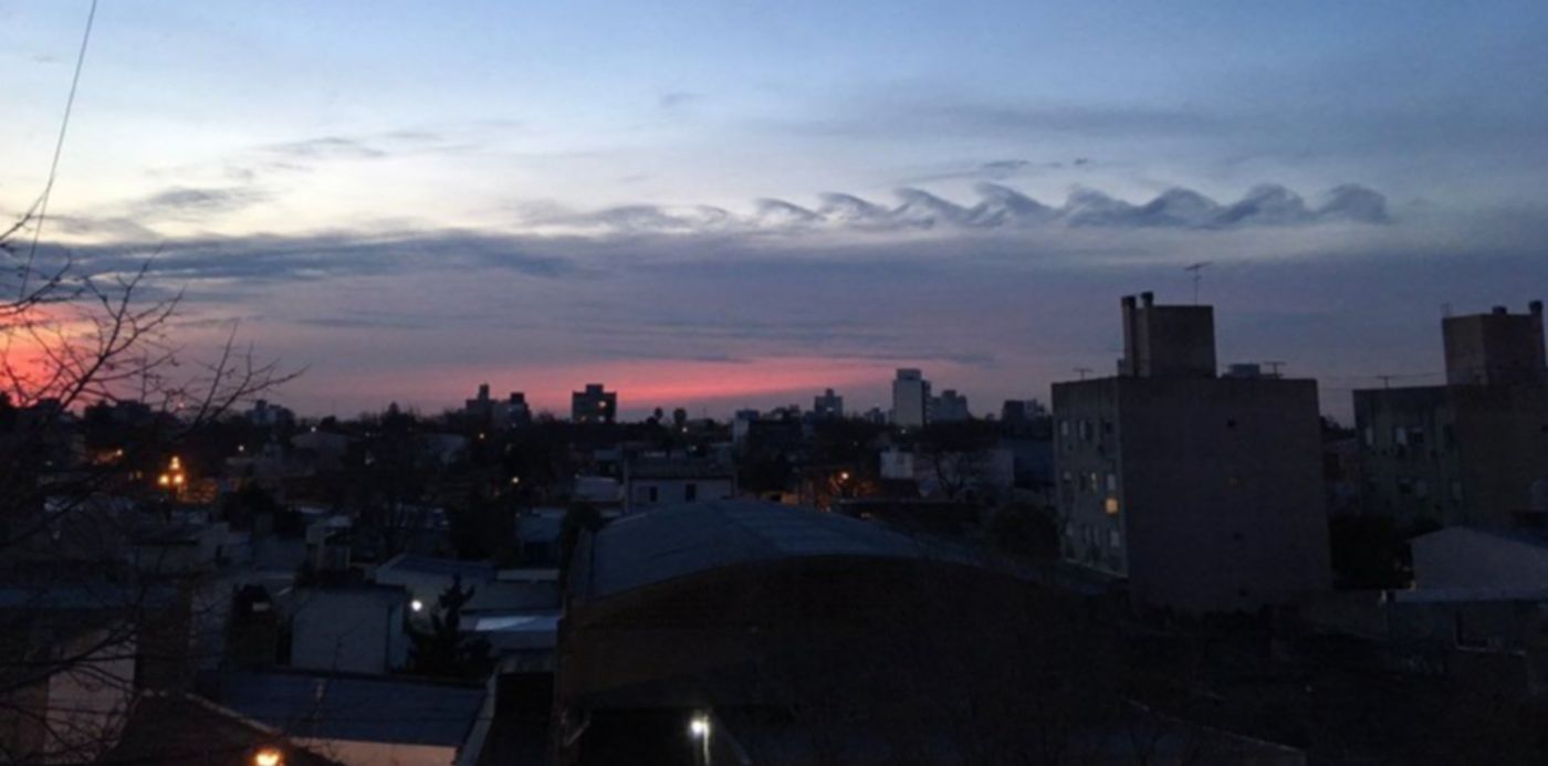 1562772540724.jpg?width=1019&ow=1024&rotate=0&scaleX=1&scaleY=1&oh=768&x=3&y=246&height=509&&cw=1920&ch=950