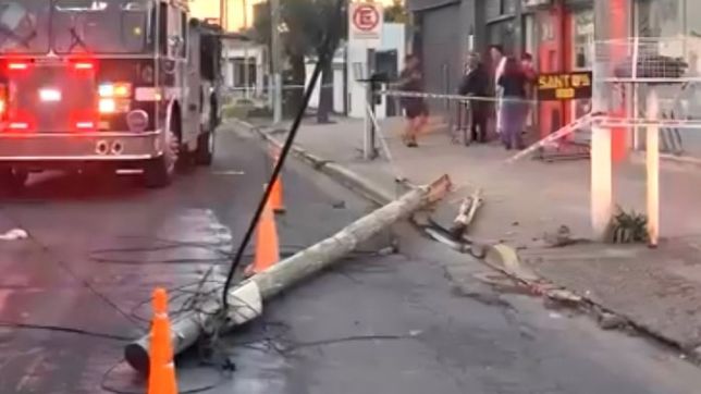 una chica cruzaba la calle, se le cayo un poste de telefono encima y murio