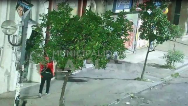video: intento romper una cortina de metal para entrar a robar en pleno centro y lo detuvieron