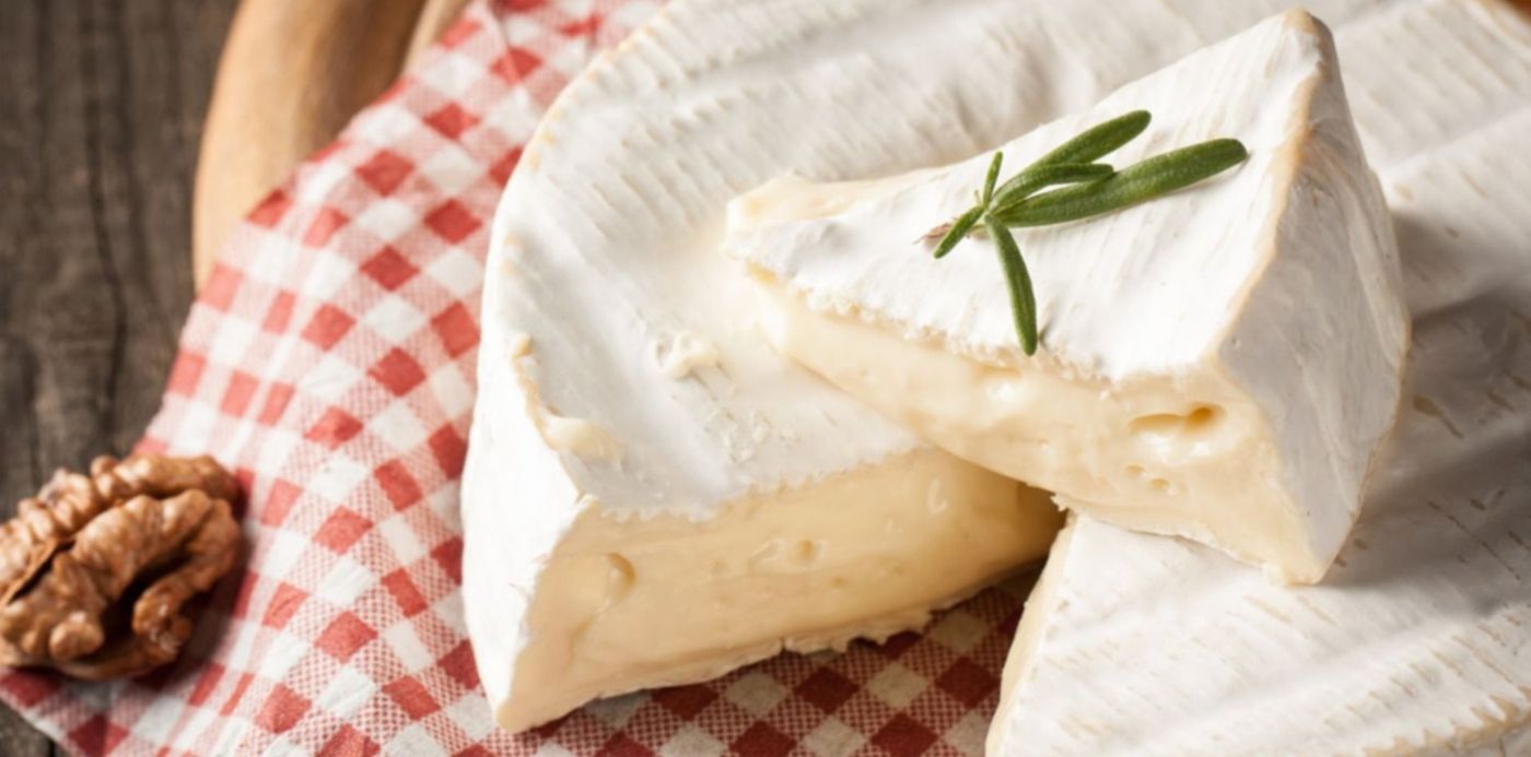 1553081966589.jpg?scaleX=1&scaleY=1&ow=1500&x=9&y=115&height=745&rotate=0&width=1489&oh=943&&cw=1920&ch=950