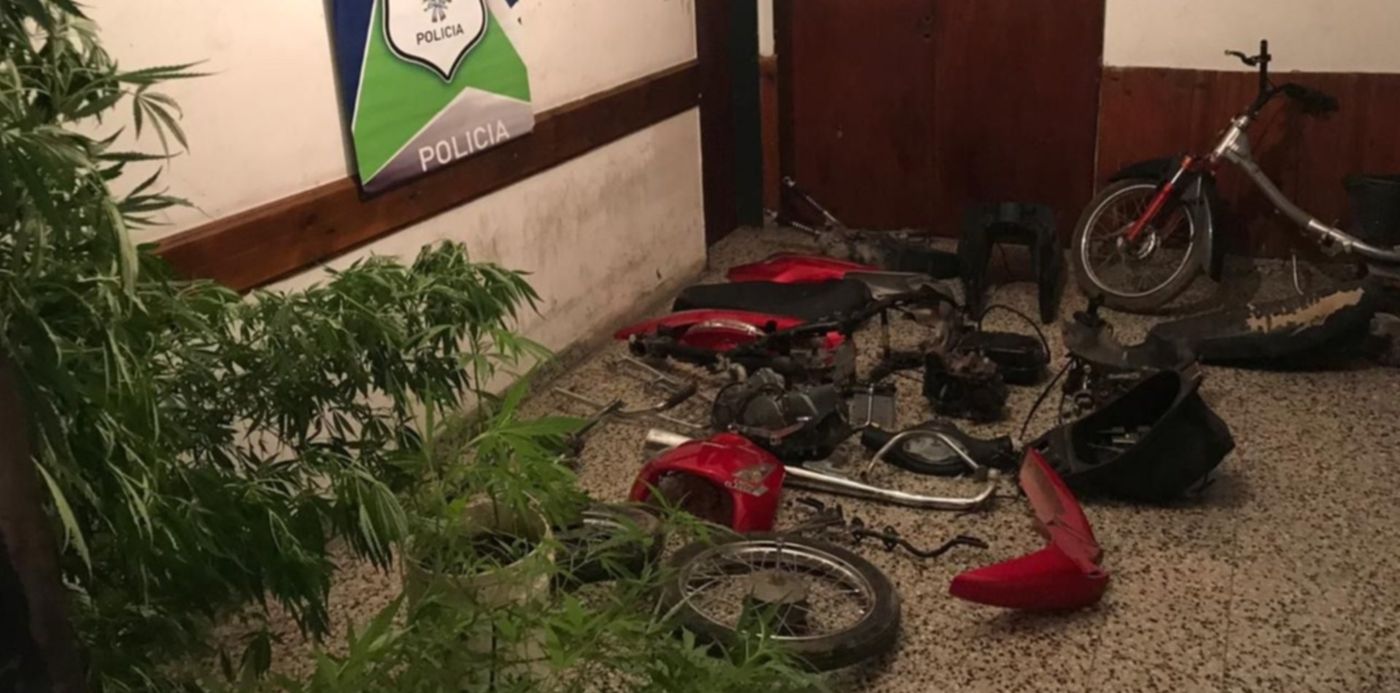 1556739094455.jpeg?ow=1280&y=285&width=1274&height=637&scaleY=1&oh=960&x=3&rotate=0&scaleX=1&&cw=1920&ch=950