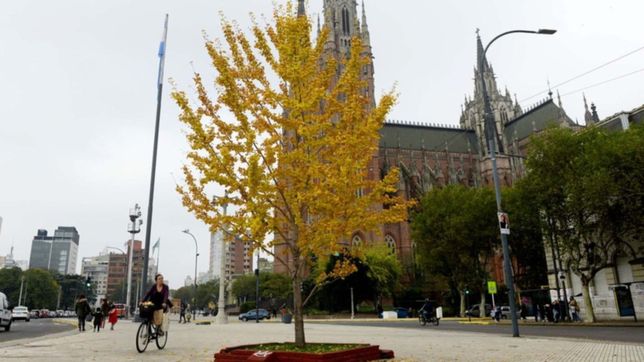 miercoles humedo con algunas nubes y una maxima de 24°c en la plata