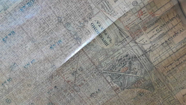 un antiguo plano catastral de la plata revela como crecia la ciudad hace 110 anos
