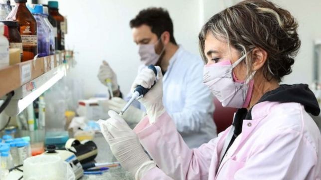 un prestigioso ranking califico a la unlp como la mas influyente en argentina