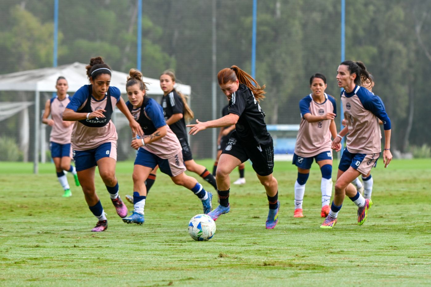 Gimnasia Selección Argentina.jpg