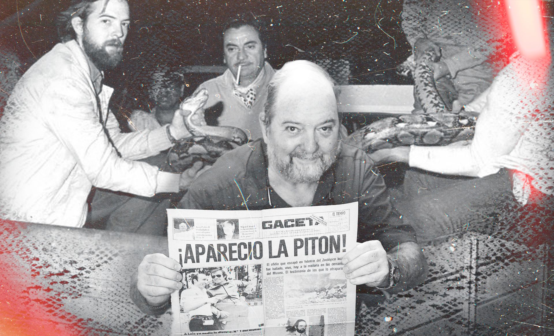 Tapa-Begum-H (1).jpg