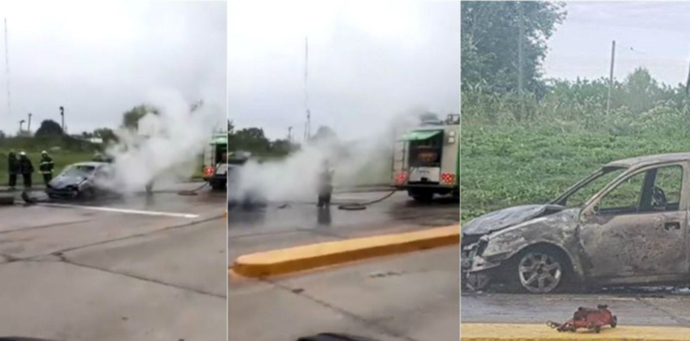 1570975069657.jpg?x=10&height=591&scaleX=1&scaleY=1&oh=732&y=0&width=1182&rotate=0&ow=1200&&cw=1920&ch=950