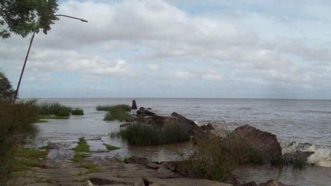 al filo de la tragedia: estaban pescando, cayeron al agua y los salvo prefectura