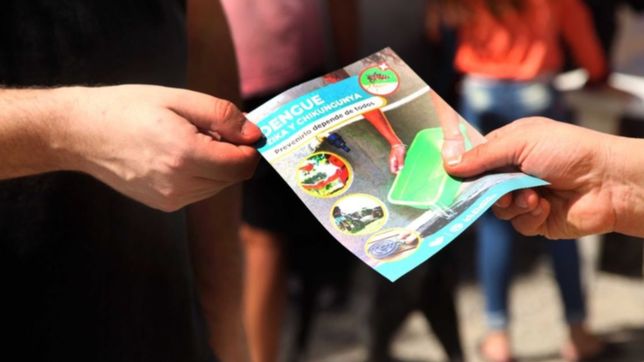 intensifican las acciones contra el hantavirus, el dengue y la leptospirosis en la plata