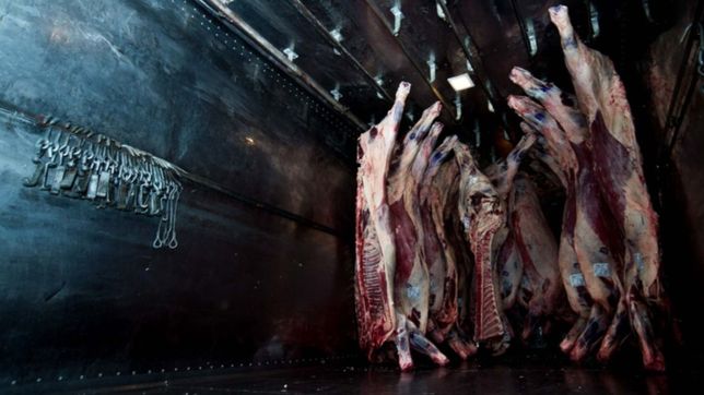 temor por intoxicacion con carne en mal estado: ¿que pasa en la plata?