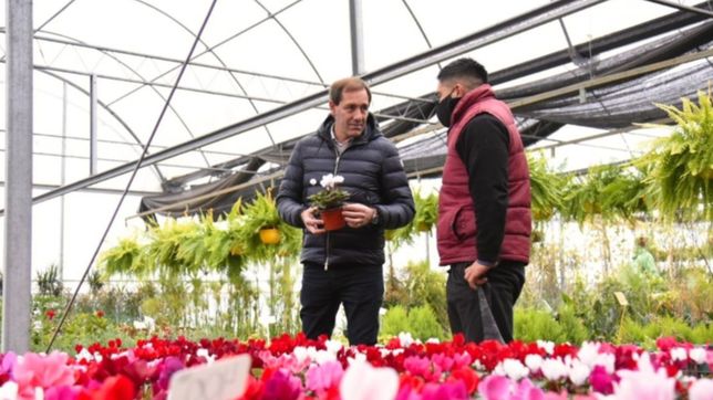 garro en mercoflor: la plata produce el 80% de flores de corte que se venden en el pais