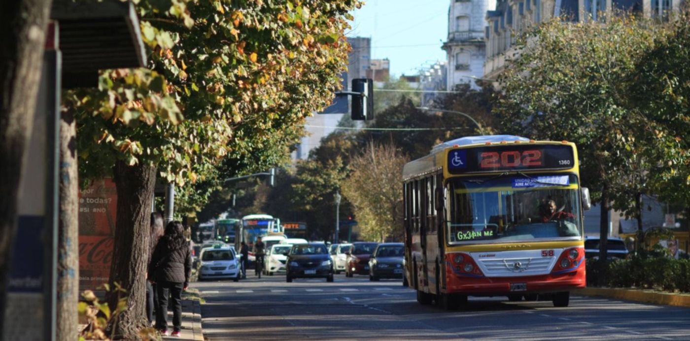 micros micro línea 202