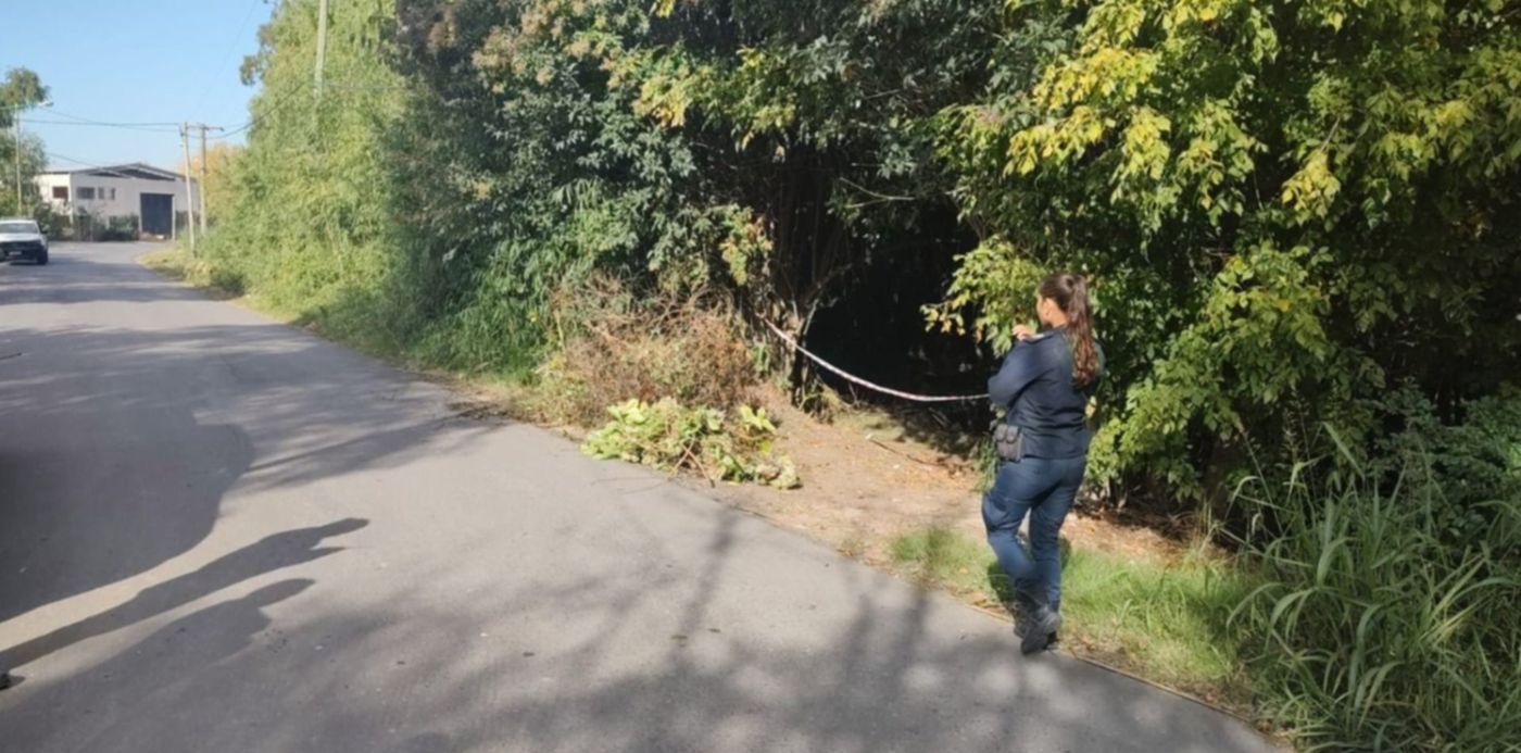 1682263358038.jpeg?x=26&y=104&width=1452&height=726&rotate=0&scaleX=1&scaleY=1&ow=1500&oh=843&&cw=1920&ch=950