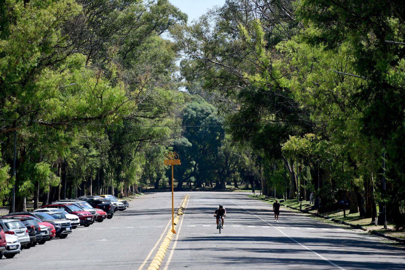 Será un feriado de Navidad con sol y calor en La Plata, según anticipa el Servicio Meteorológico Nacional. Será un feriado de Navidad con sol y calor en La Plata, según anticipa el Servicio Meteorológico Nacional.